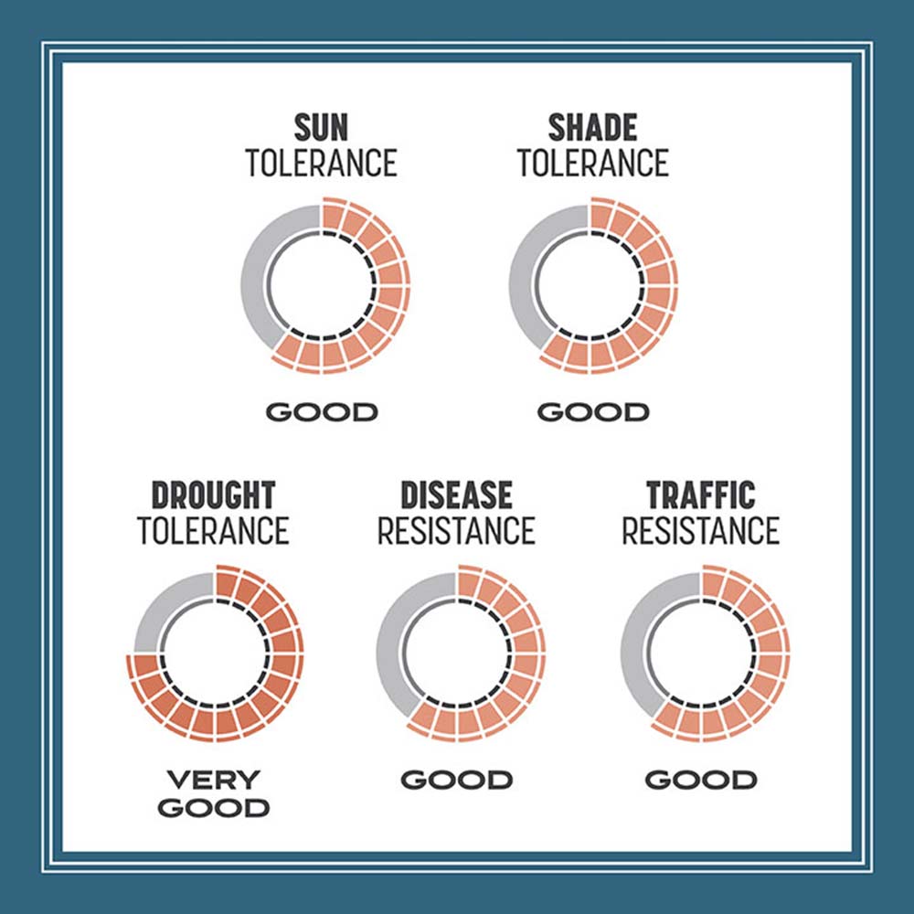 pacific-northwest-grass-tolerance