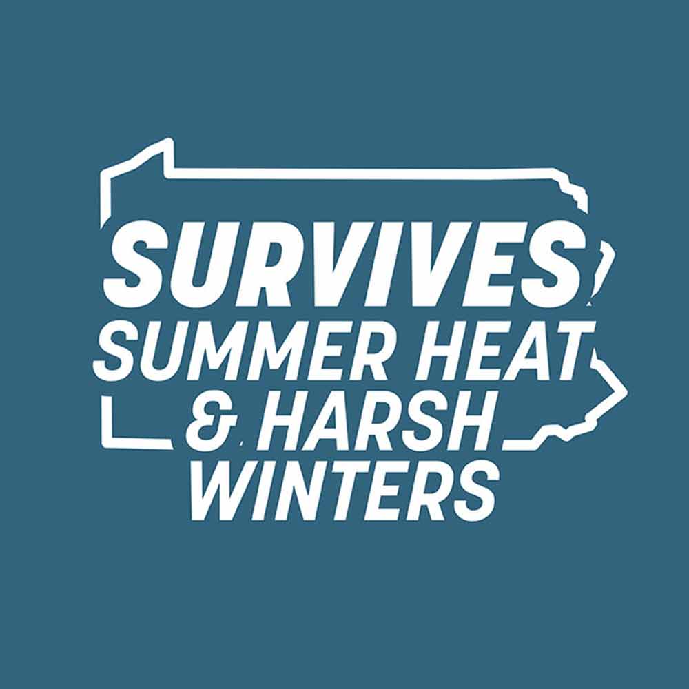 grass-seed-pennsylvania