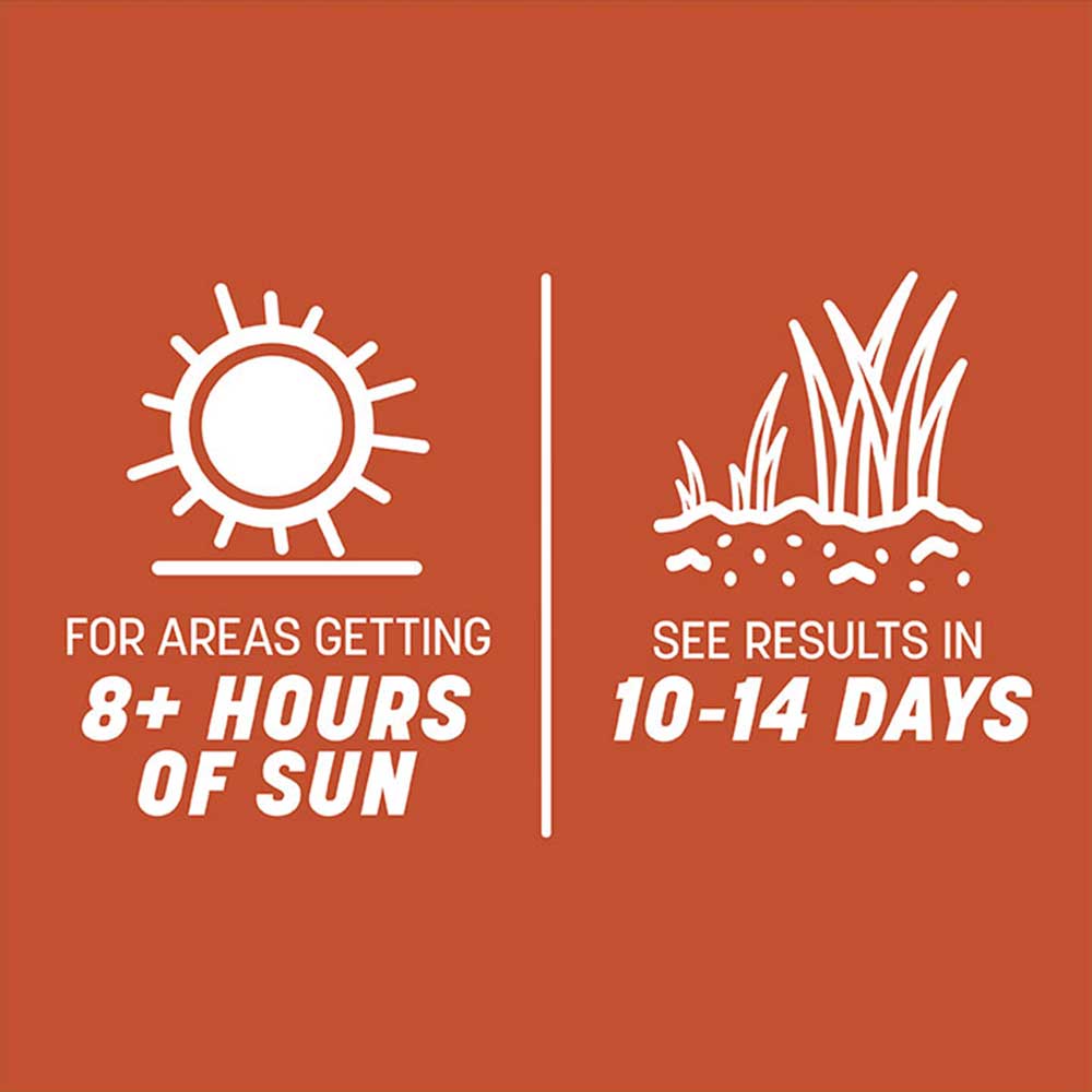 smart-seed-texas-bermuda-grass-sun-time