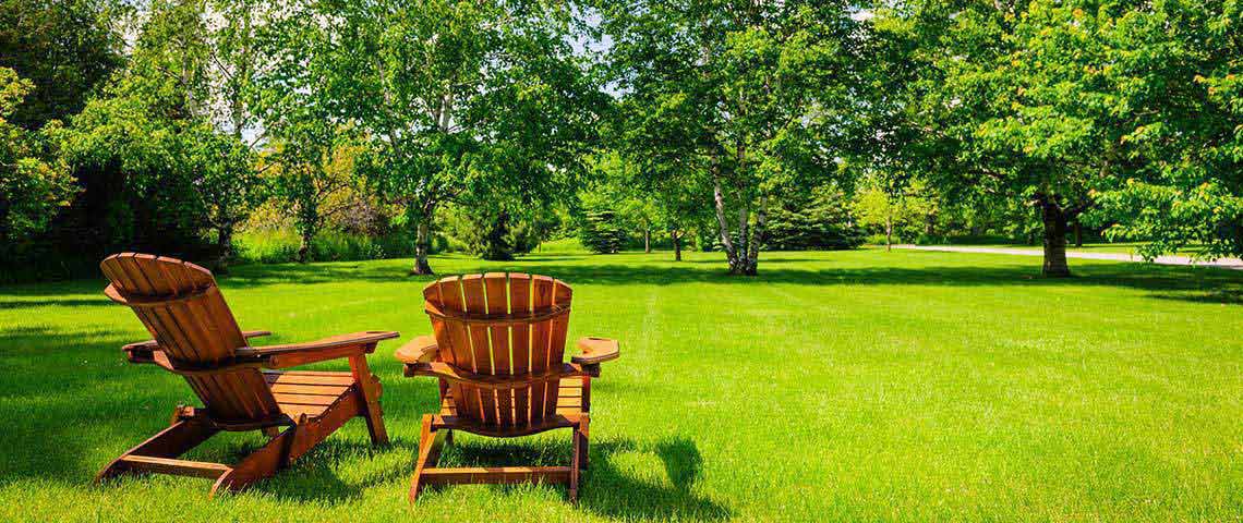 Two lawn chairs on a sunny lawn.