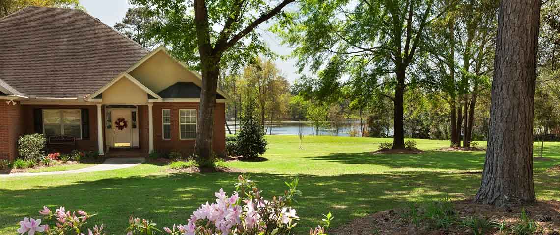 What Is the Best Warm-Season Grass for Your Lawn Header