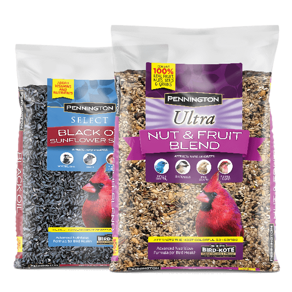 BirdFood_HomePage_Feature