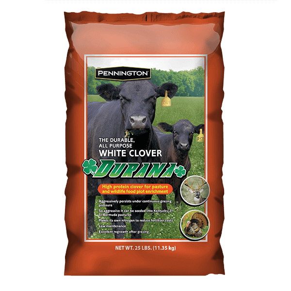 Pennington Durana Clover Perennial Forage